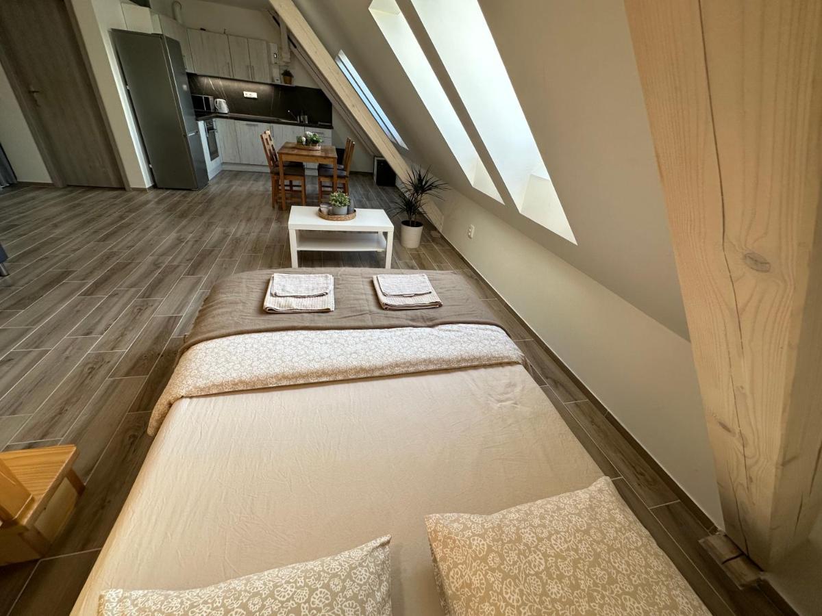 Apartmany Monastery Suites Zirec ดวูร์กราโลเว นัด ลาเบม ภายนอก รูปภาพ